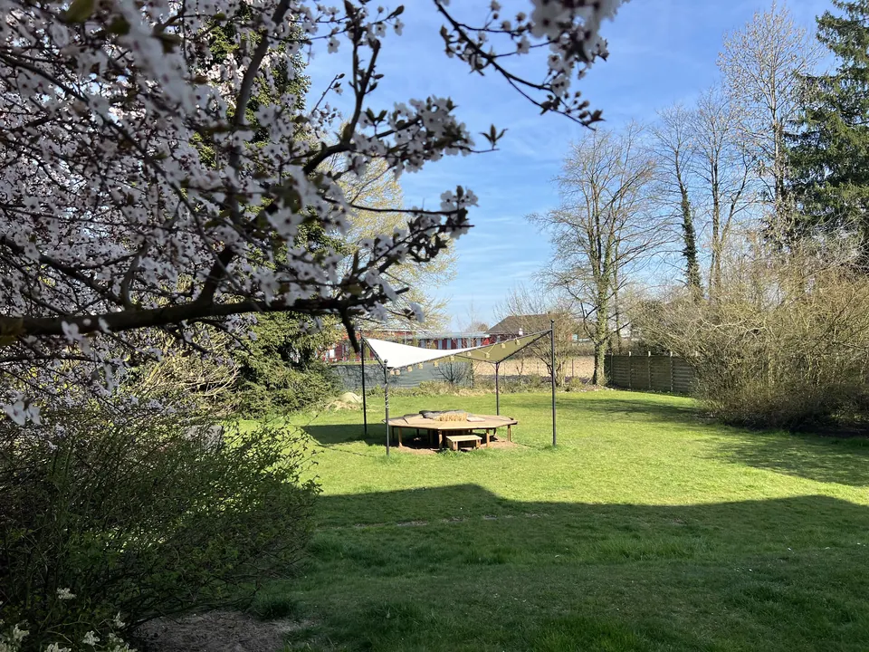 Garten im Frühling mit blühendem Baum und Sonnensegel