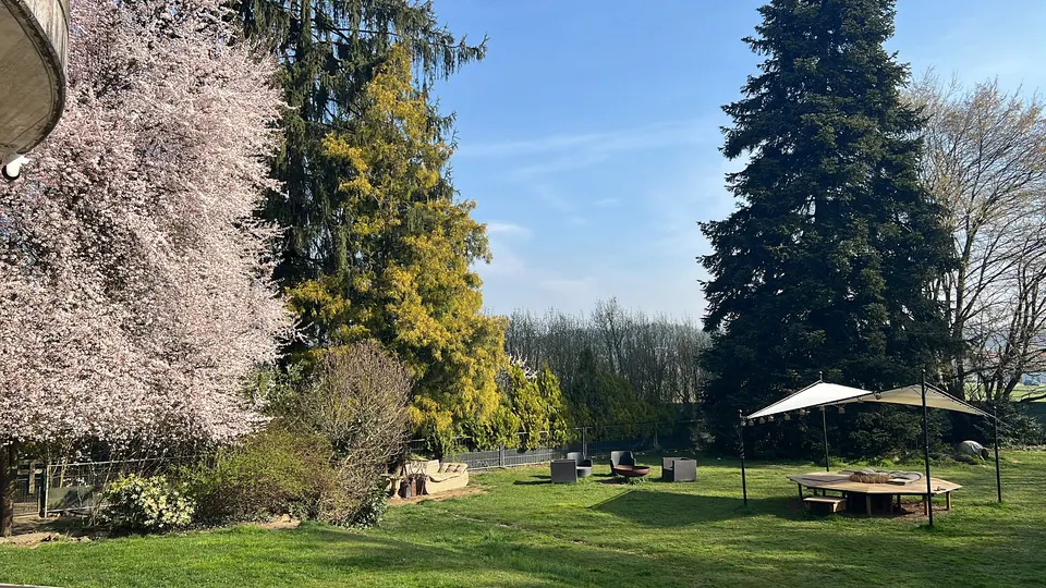 Garten im Frühling mit blühendem Baum, Lounge-Sesseln und Holzplattform unter dem Sonnensegel