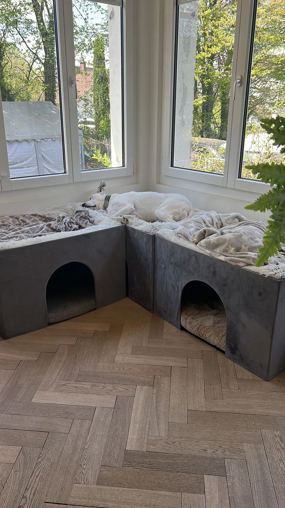 Hundehöhlen und Liegeplätze am Fenster
